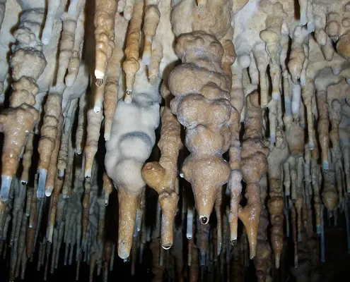 The Cave - Fear of the Dark - Marseille 13