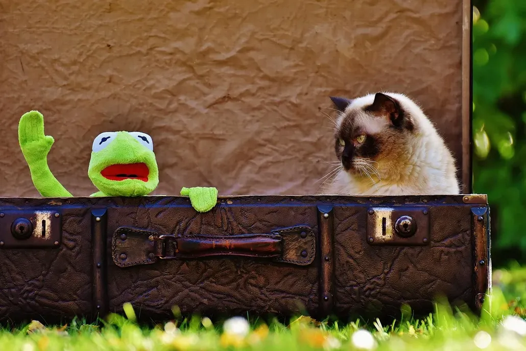 La Valise Vaudou - Lost Level - Photo groupe