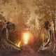 Genesis Curious World