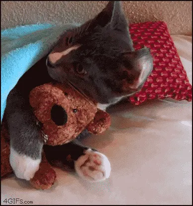Hostage