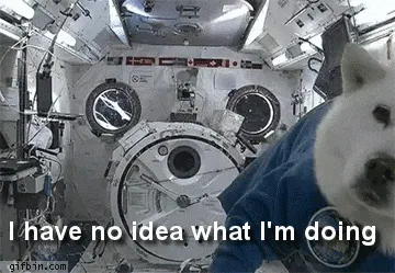 Dog space